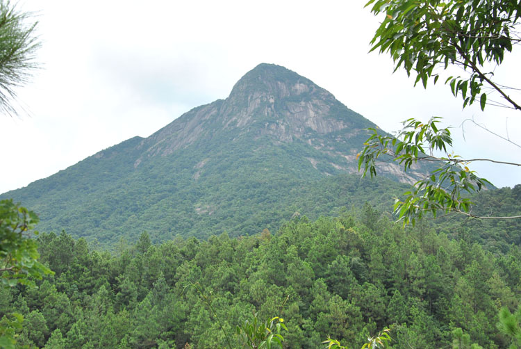 北峰山森林公园