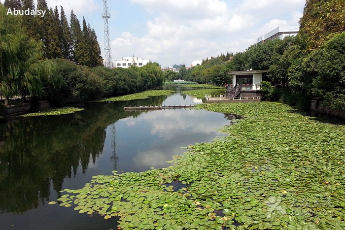 data-lemmaid="232635">华东师范大学 /a>的校河 /p> p>丽娃河不仅仅