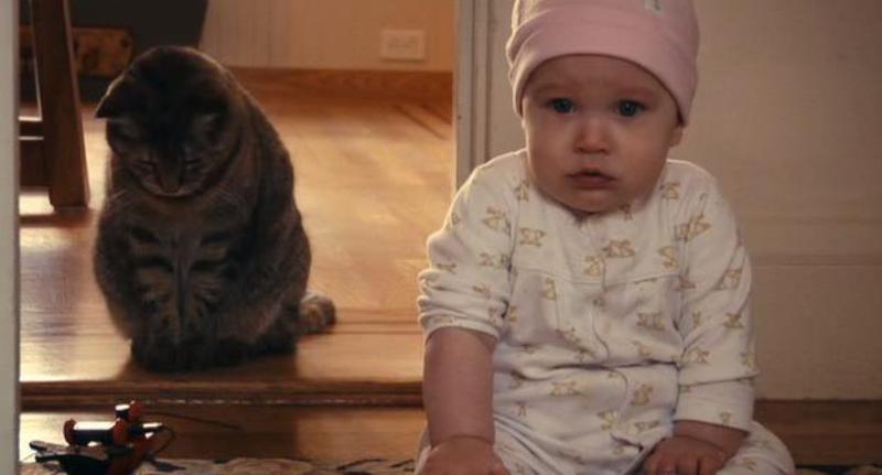 着苍蝇的非洲儿童,物质条件优渥的美日宝宝,和山羊抢洗澡水的蒙古孩子