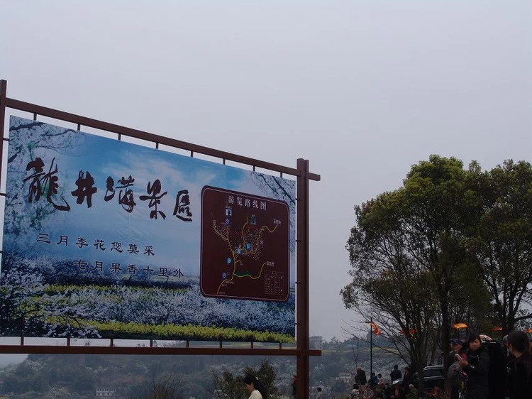 龙井沟
