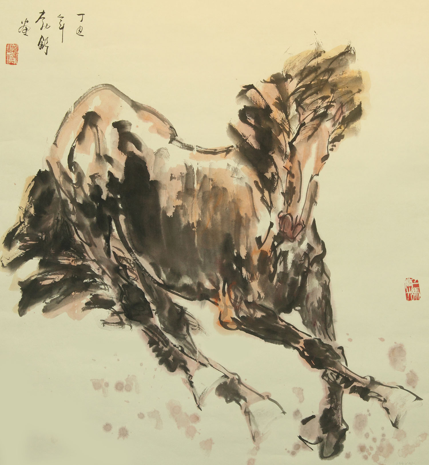 刘勃舒