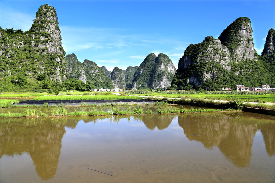  p data-id="gnwx15r4gf">钟山十里画廊景区位于贺州市钟山县城西北18