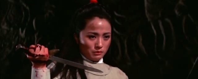  p>《十二金牌》是程刚执导的一部动作武侠电影,洪金宝动作导演,焦姣