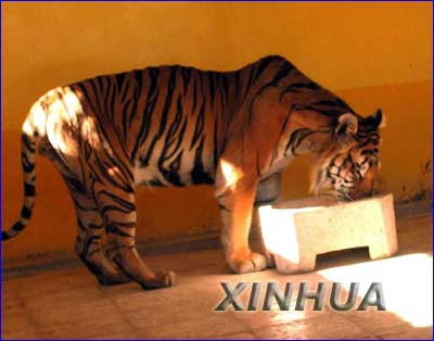 uday saddam hussein al-tikriti