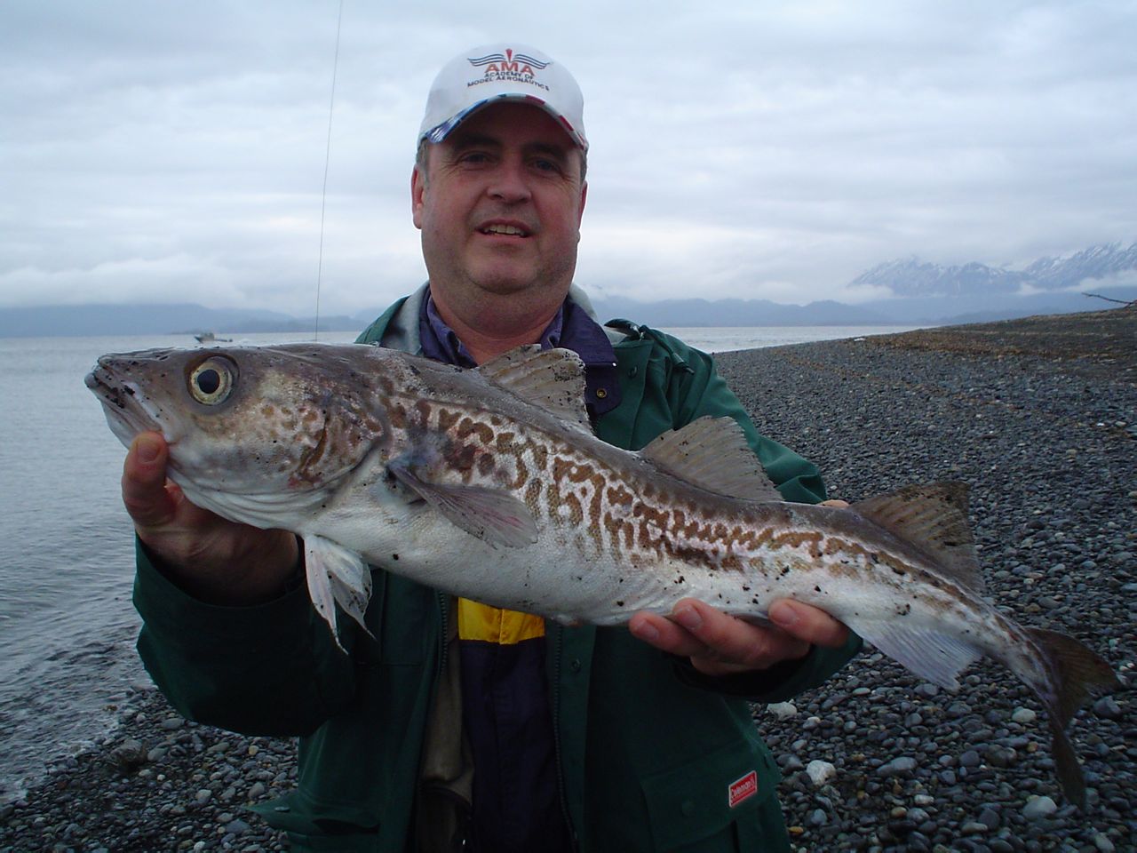  p data-id="gnwv8a2vu5">英文名: pacific hake 俗名: 太平洋无须鳕