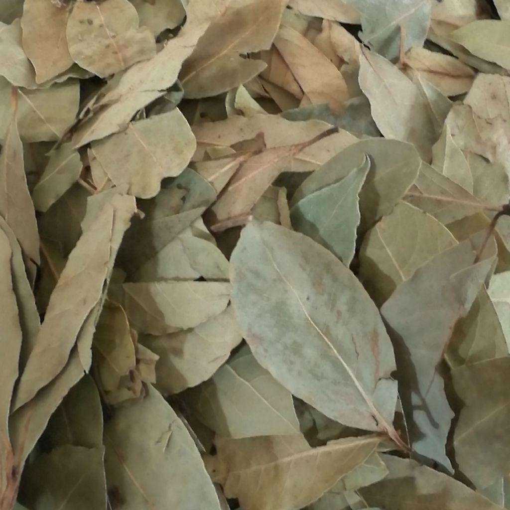 月桂叶是香叶吗(月桂叶是香叶吗哪里能买到)