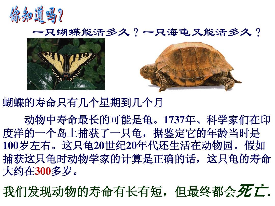 动物寿命