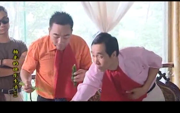 杨光的快乐生活3