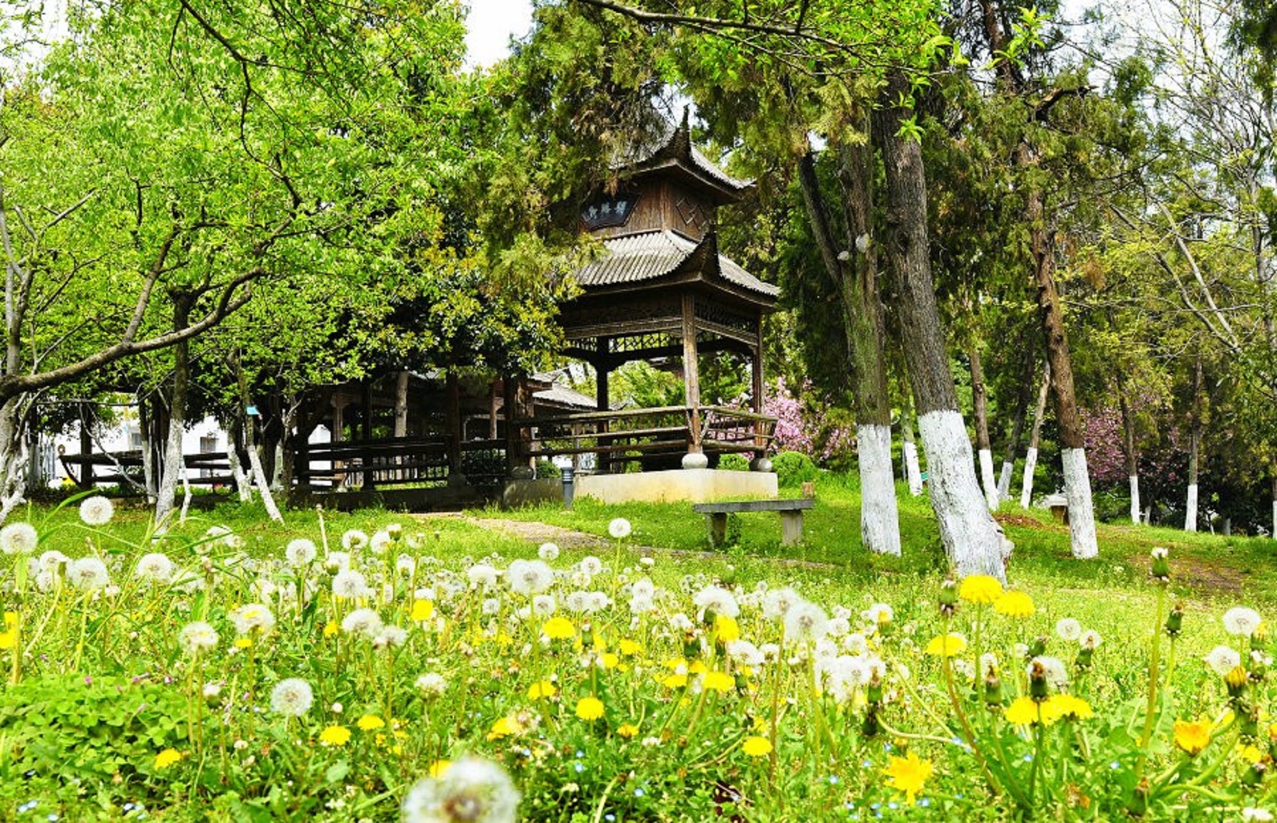 安徽林业技术学院