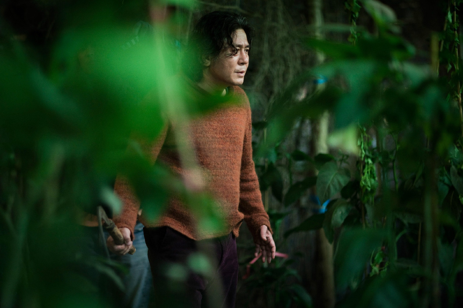  p>《看见恶魔》是由 a target="_blank" href="/item/金知云/3990522