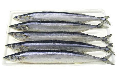  p>鳀科, i>engraulidae  /i>,属硬骨鱼纲 a href="#" data-lemmaid="