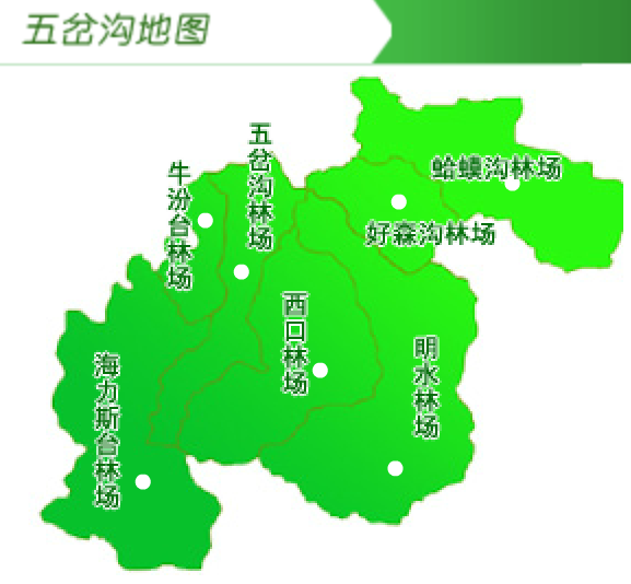 五岔沟林业局