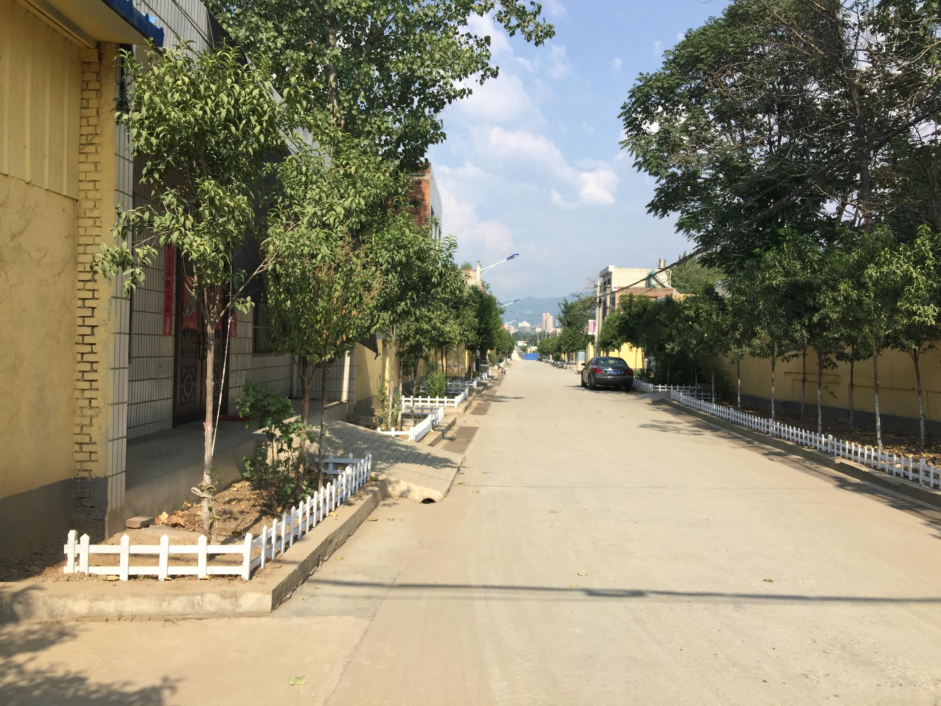 宝鸡市扶风县杏林镇