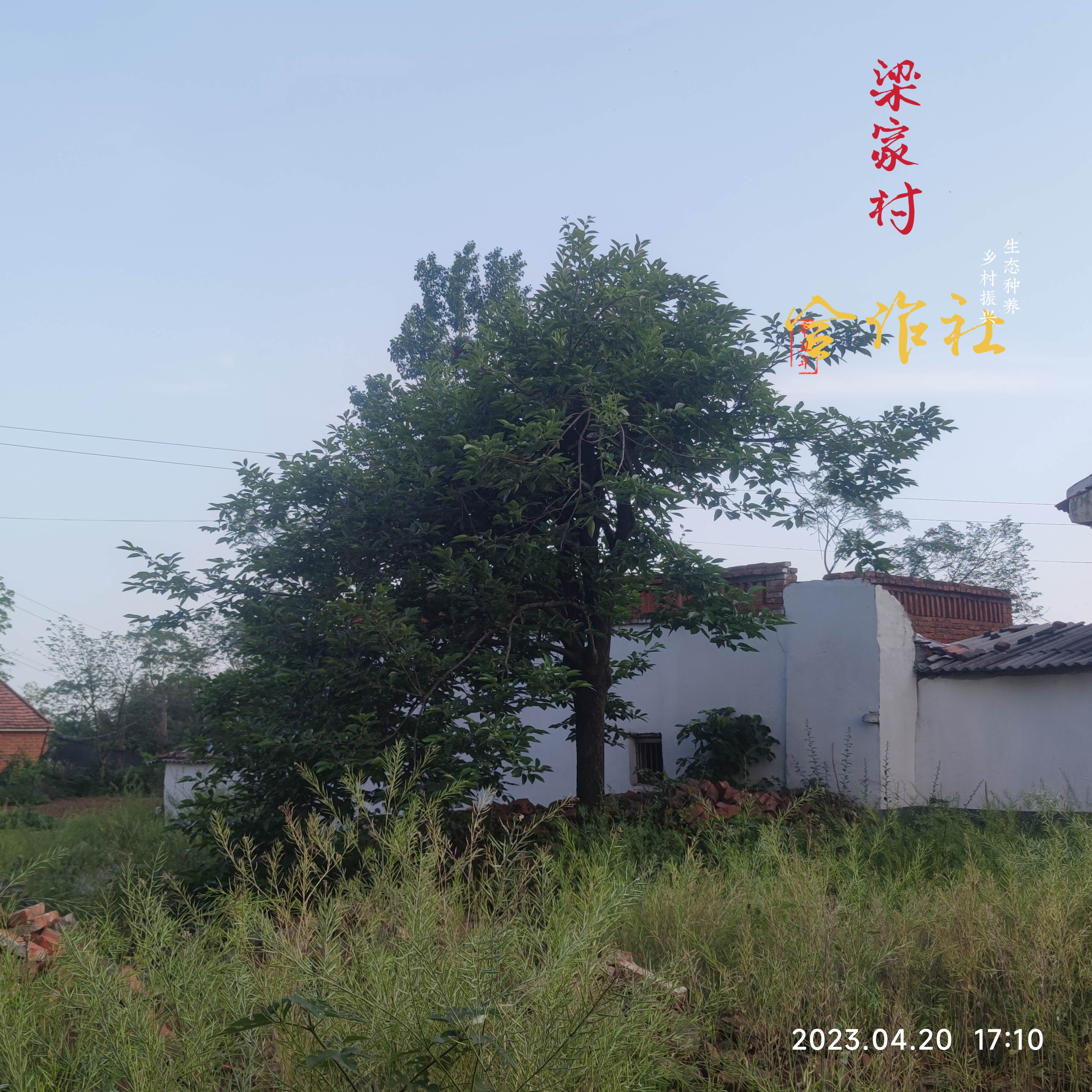  p data-id="tbzcfliiyanz">梁家村是中国湖北省襄阳市枣阳市七方镇