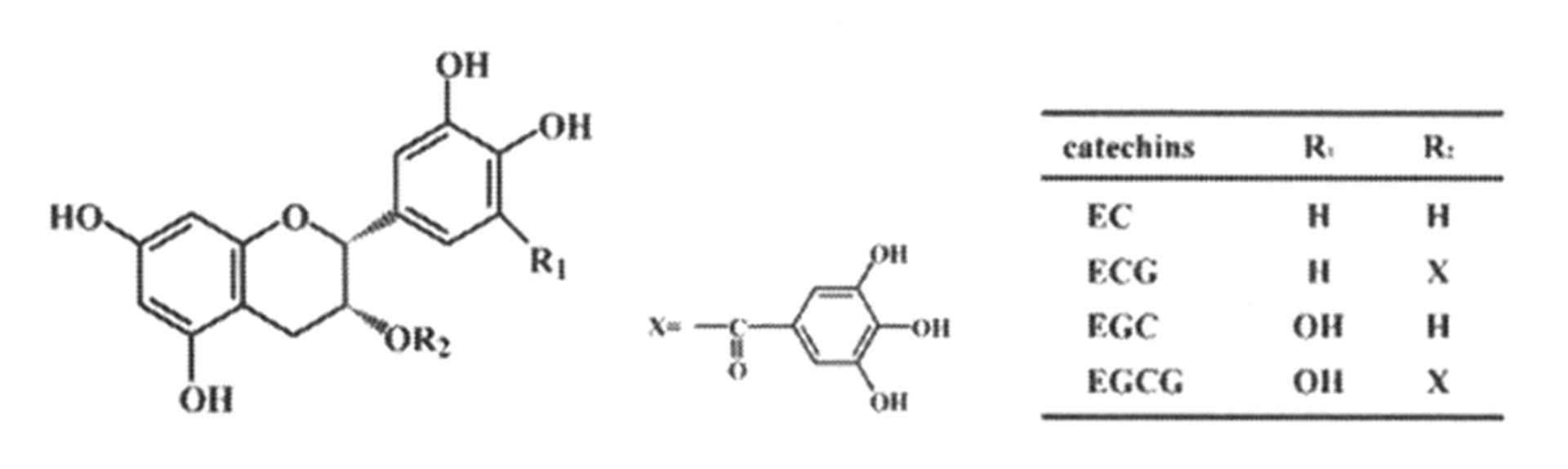  p data-id="gncoa1g60y">茶多酚是茶叶中多酚类物质的总称,为白色不