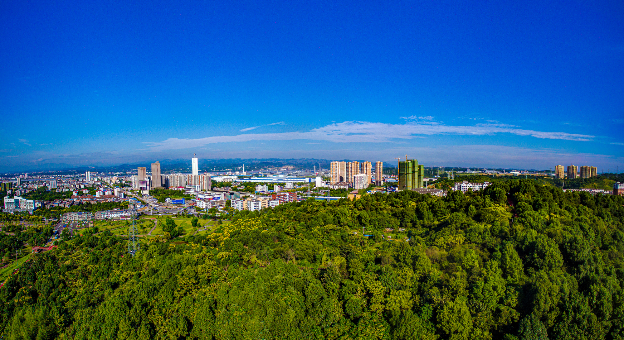 宜昌猇亭区seo 全网资源