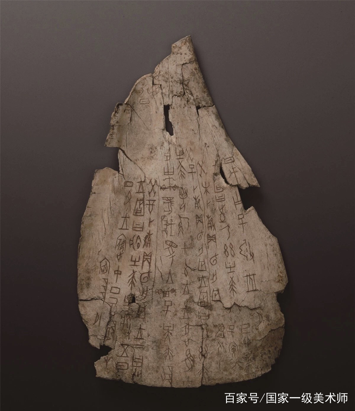 中国甲骨 殷墟甲骨 甲骨文 興隆 骨董 中国美術 中国甲骨 殷墟甲骨 甲骨文 興隆 骨董 中国美術 中国甲骨 殷墟