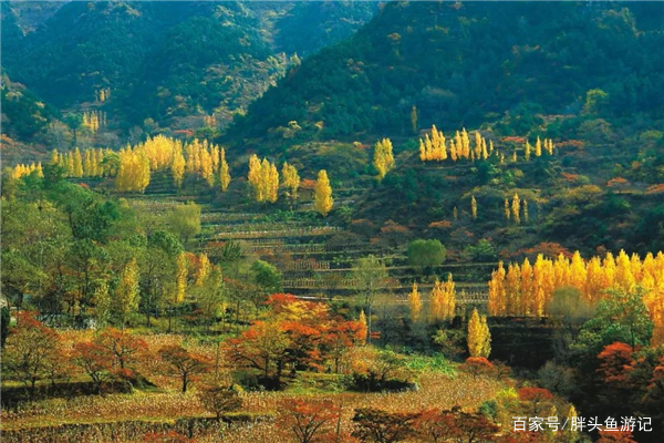 河南新乡万仙山，游客们的度假天堂！_百科TA说