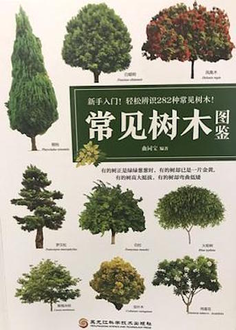 常见树木图鉴