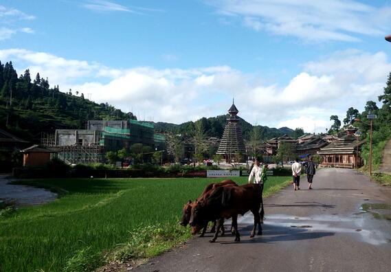 target="_blank" href="/item/从江县/5955832" data-lemmaid="