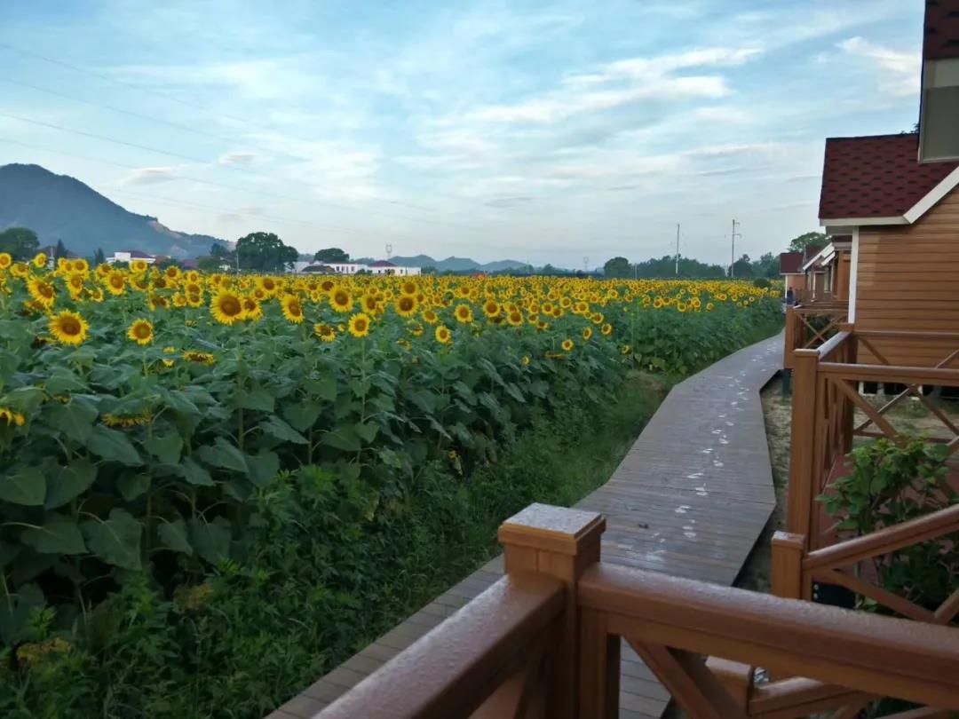 博阳河生态风景区