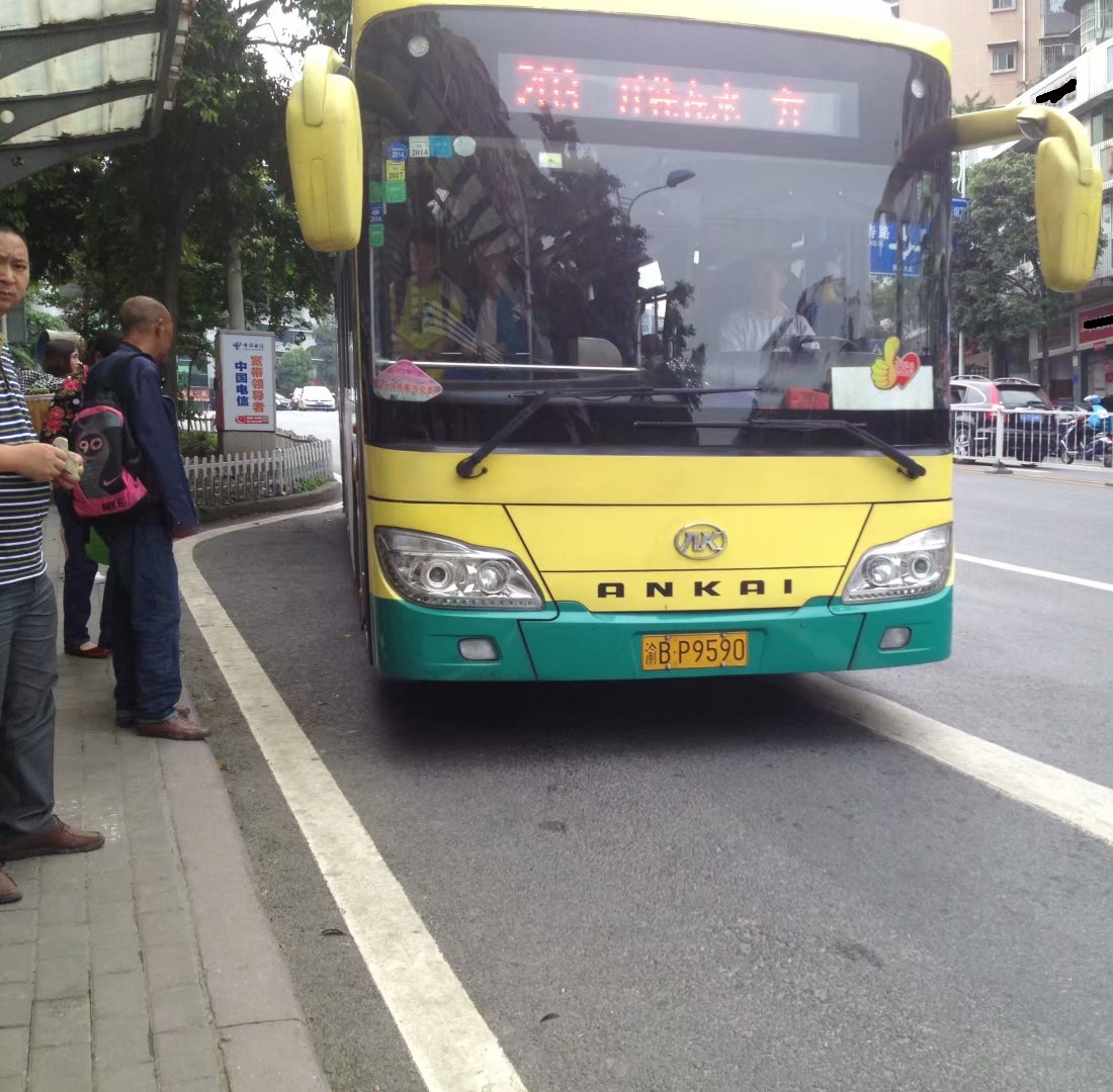 长寿公交203路