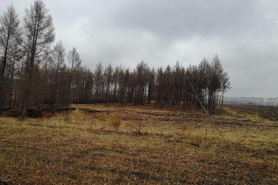  p>昌盛乡,隶属于黑龙江省齐齐哈尔市克东县,地处 a target="_blank"