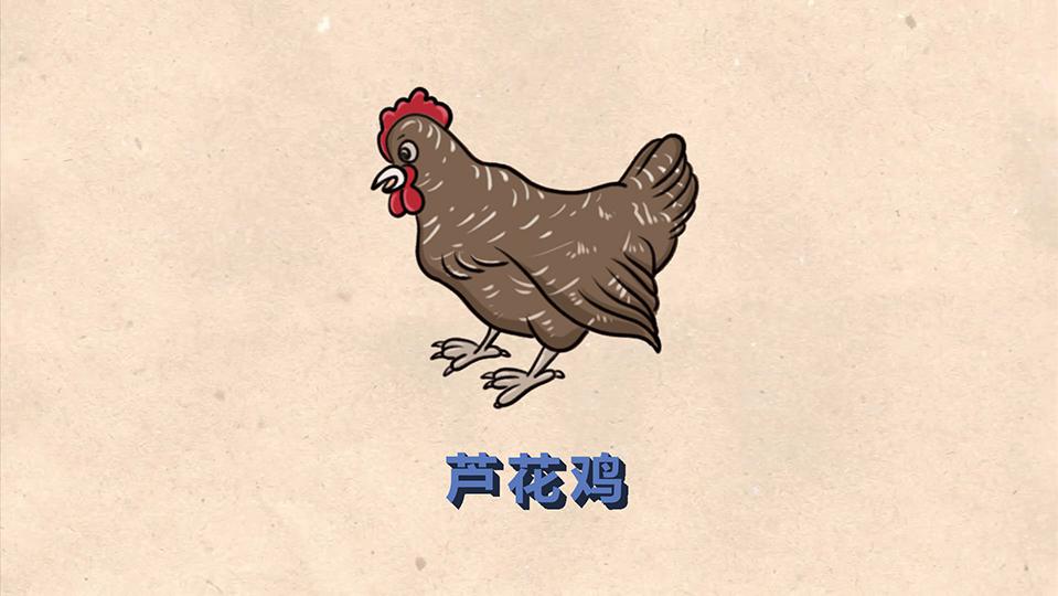 芦花鸡:典型的瘦肉型珍禽野味