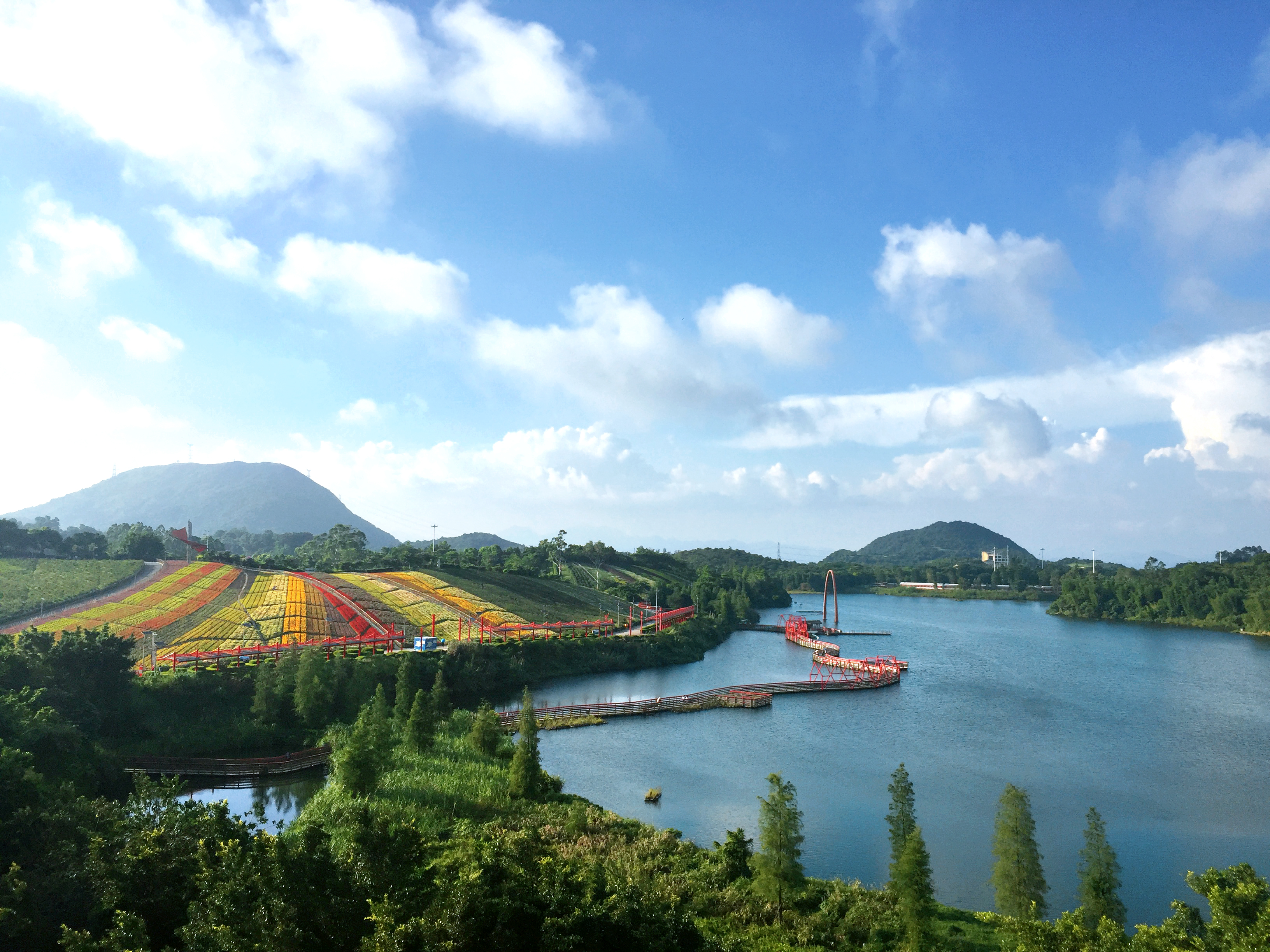 湿地花园