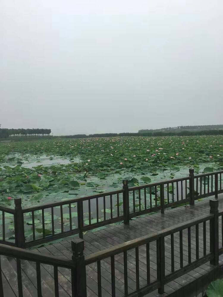 东丽湖温泉度假区