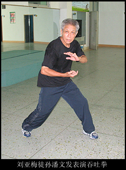  p>刘亚梅,原名为刘远跋,生于清咸丰年间,卒于抗日战争前夕.