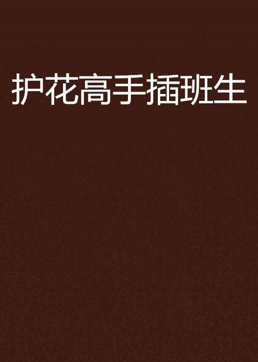 护花高手插班生