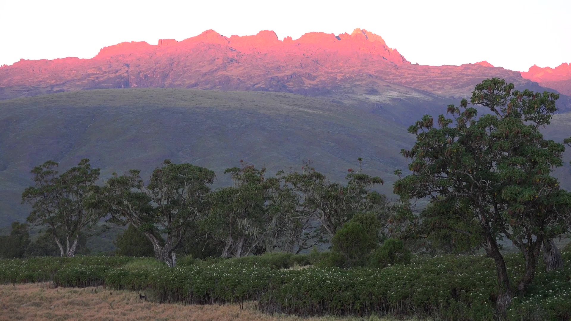  p>肯尼亚山国家公园和自然森林位于肯尼亚东部,距离首都内罗毕东北