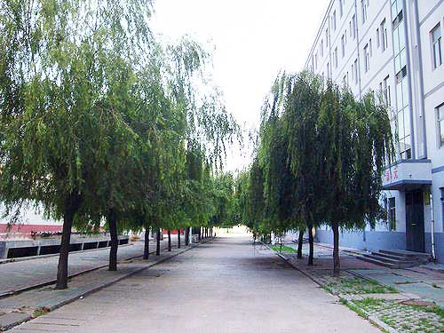  p>学校名称:长垣县第十中学,学校简称:长垣十中,创办时间:1958年