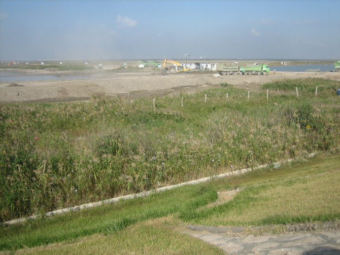 南汇东滩湿地