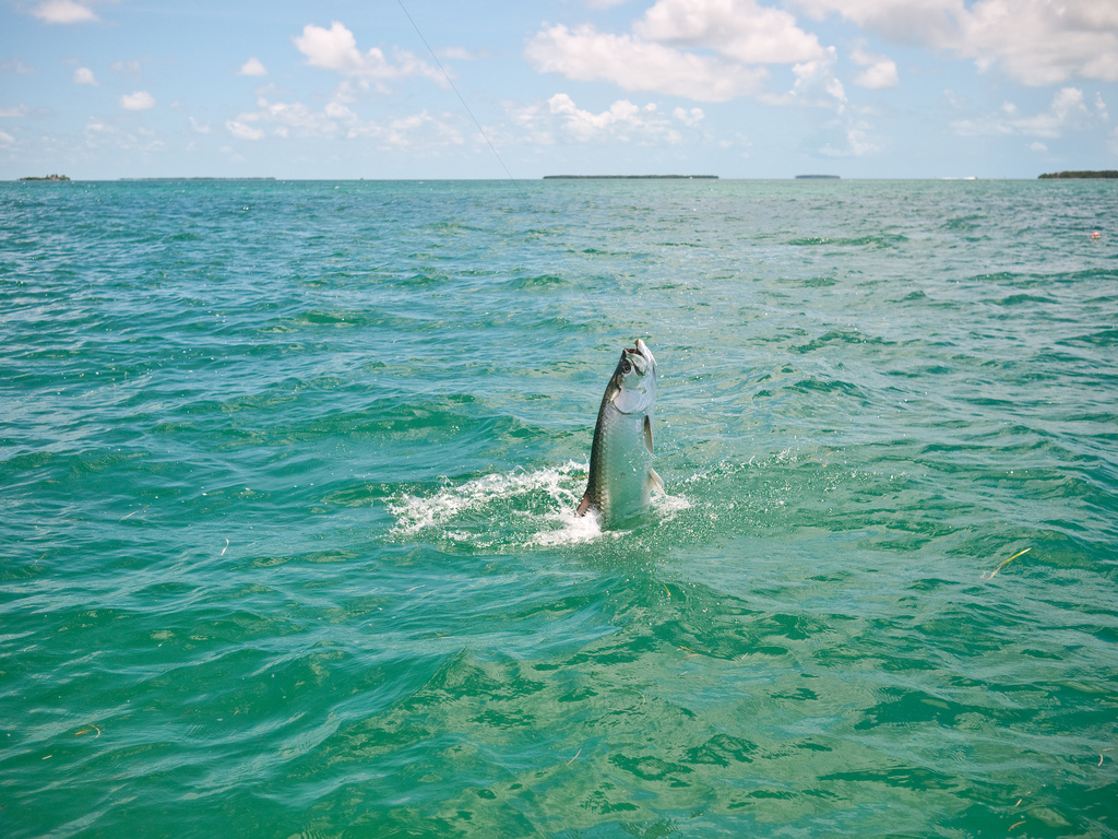  p> b>大西洋(英语:atlantic ocean) /b>,是世界第二大洋,占地球表