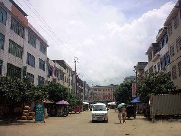 广西灵山县沙坪镇