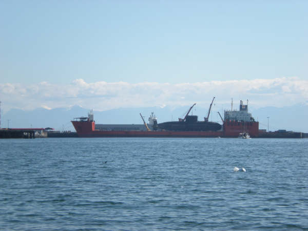  p>支持者级潜艇(英文:upholder-class submarine,又称:拥护者级/维护