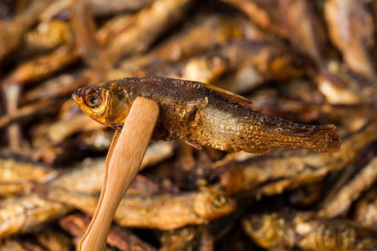 dried fishes