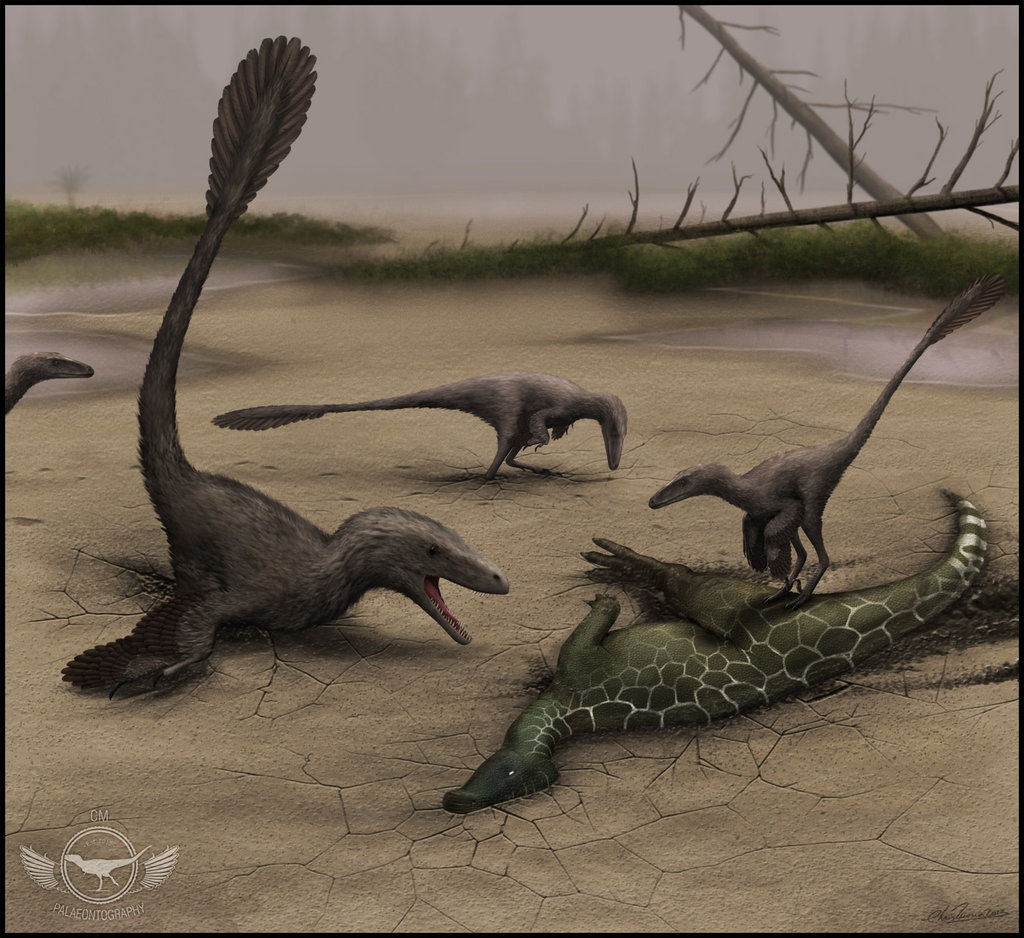  p>犹他盗龙(属名:utahraptor)又名犹他龙,是 a href="#" data-lemma