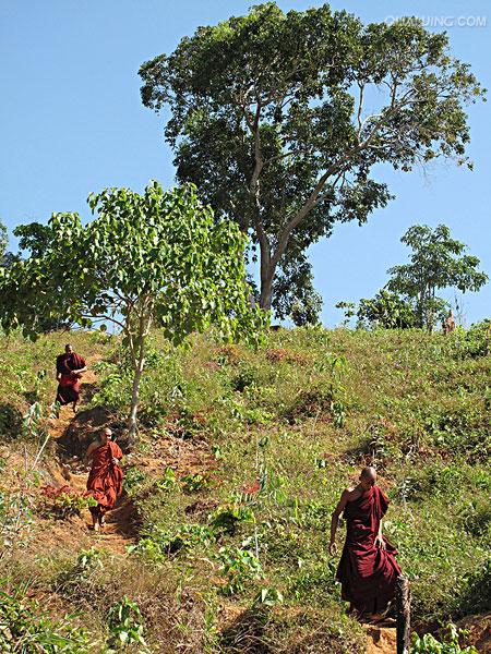  p>勃生(pathein)是 a target="_blank" href="/item/缅甸/205923"