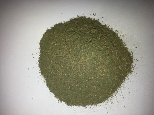 ishs">绿色木霉是<a target="