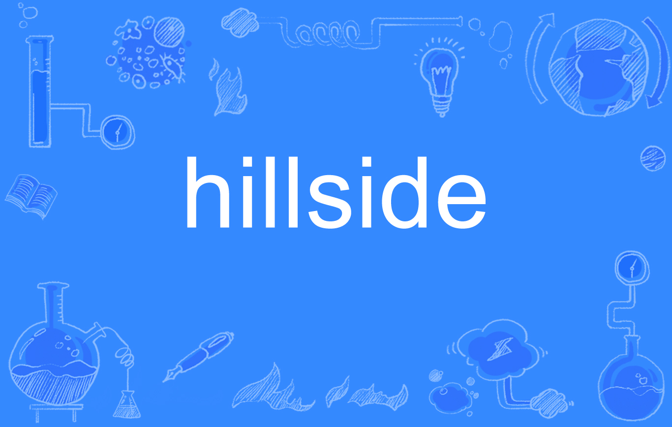  p data-id="gn3o3qzghj">hillside,英语单词,主要用作为名词,意为