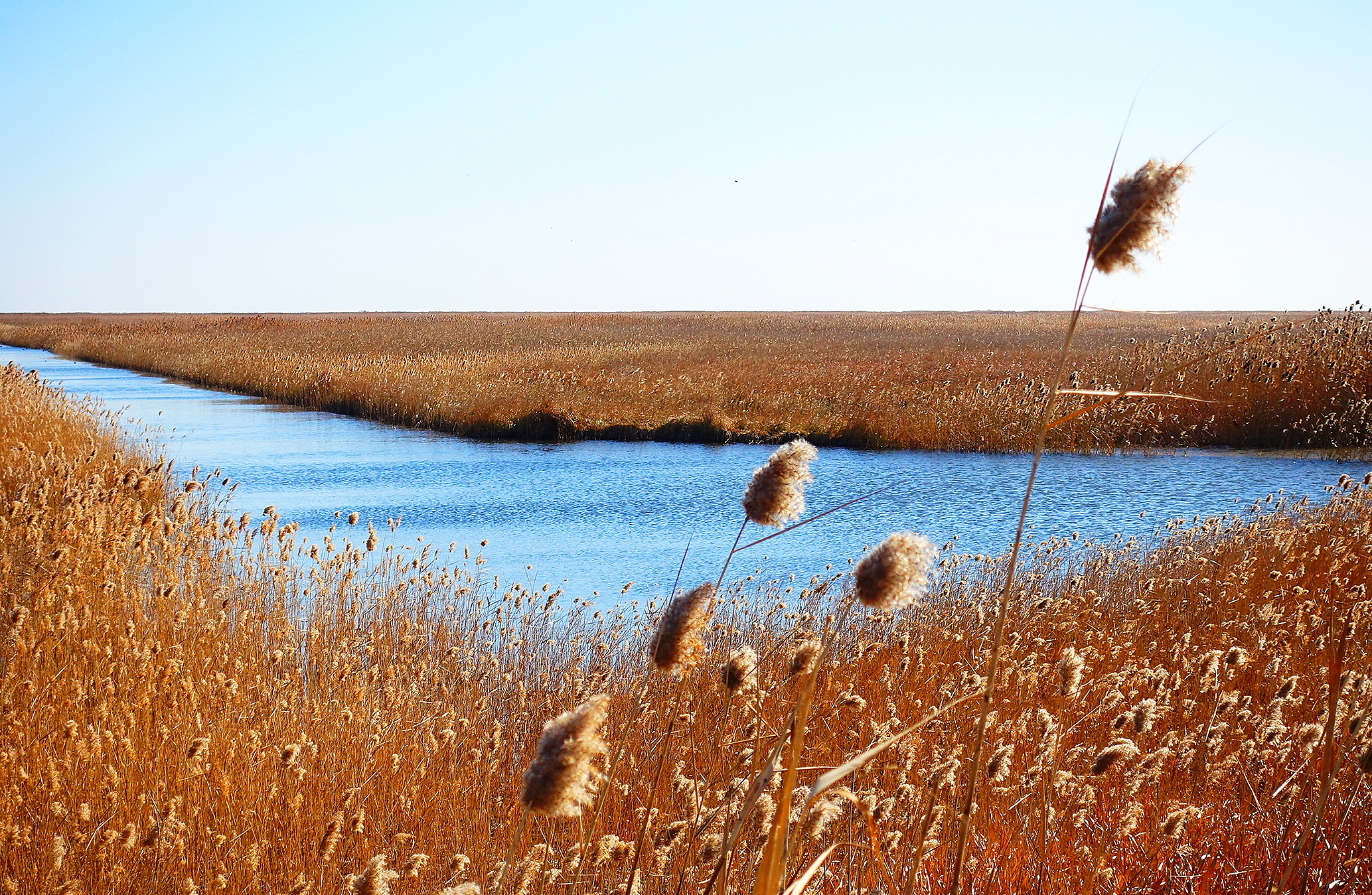 江苏省沿海滩涂珍禽国家级自然保护区