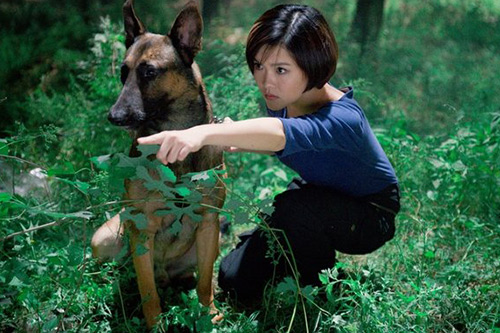 ">幽灵犬 /a>, a target="_blank" href="/item/神犬奇兵/3353317"