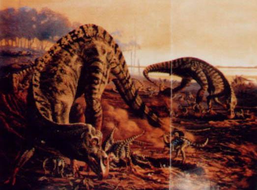  p>显生宙,指"看得见生物的年代",是开始出现大量较 a target="_blank