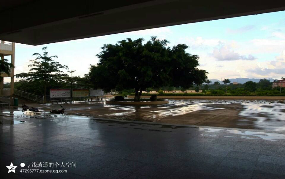 电白县第三中学