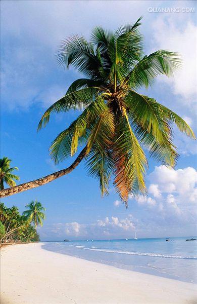  p>坦桑尼亚联合共和国(英文:the united republic of tanzania),简称