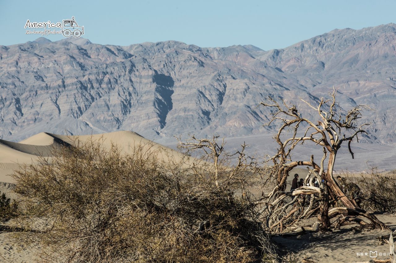  p>死亡谷国家公园(death valley national park)主要位于美国 a