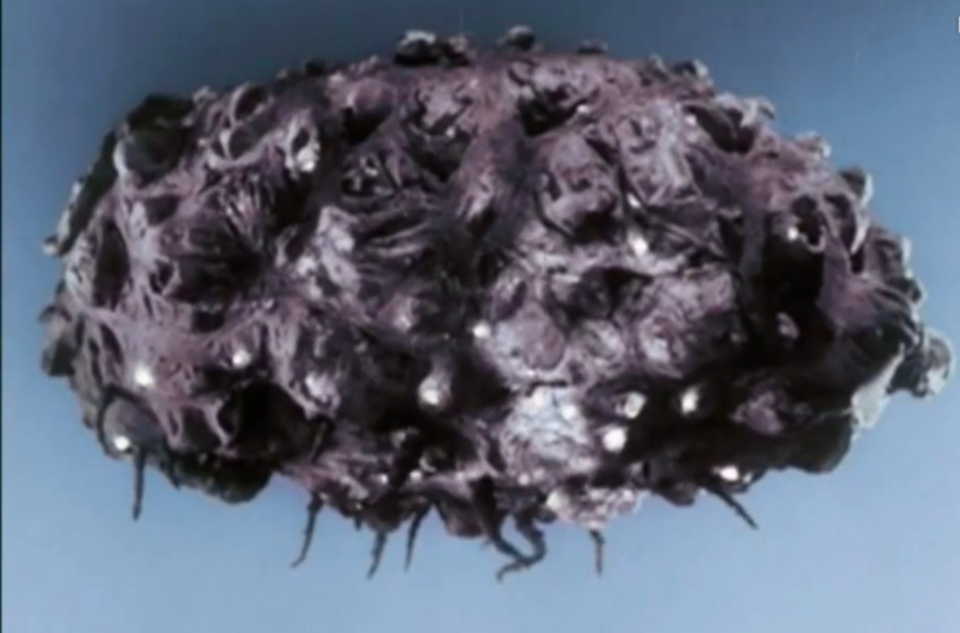  p>气球怪兽巴鲁戈登场于《 a target="_blank" href="/item/奥特q